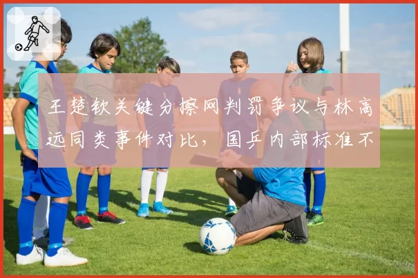 王楚钦关键分擦网判罚争议与林高远同类事件对比,国乒内部标准不一遭质疑