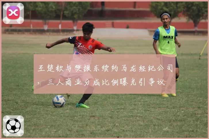 王楚钦与樊振东续约马龙经纪公司，三人商业分成比例曝光引争议